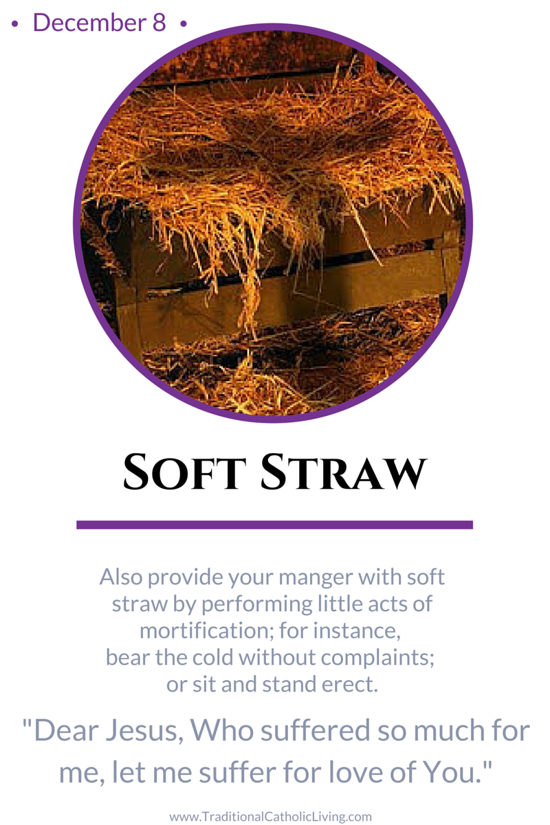 A Spiritual Christmas Crib Day 8 Traditional Catholic Living